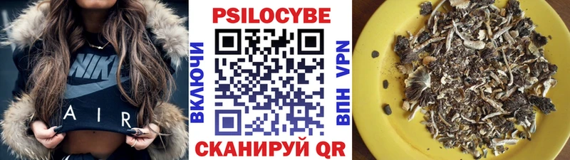 купить   Братск  Псилоцибиновые грибы прущие грибы 
